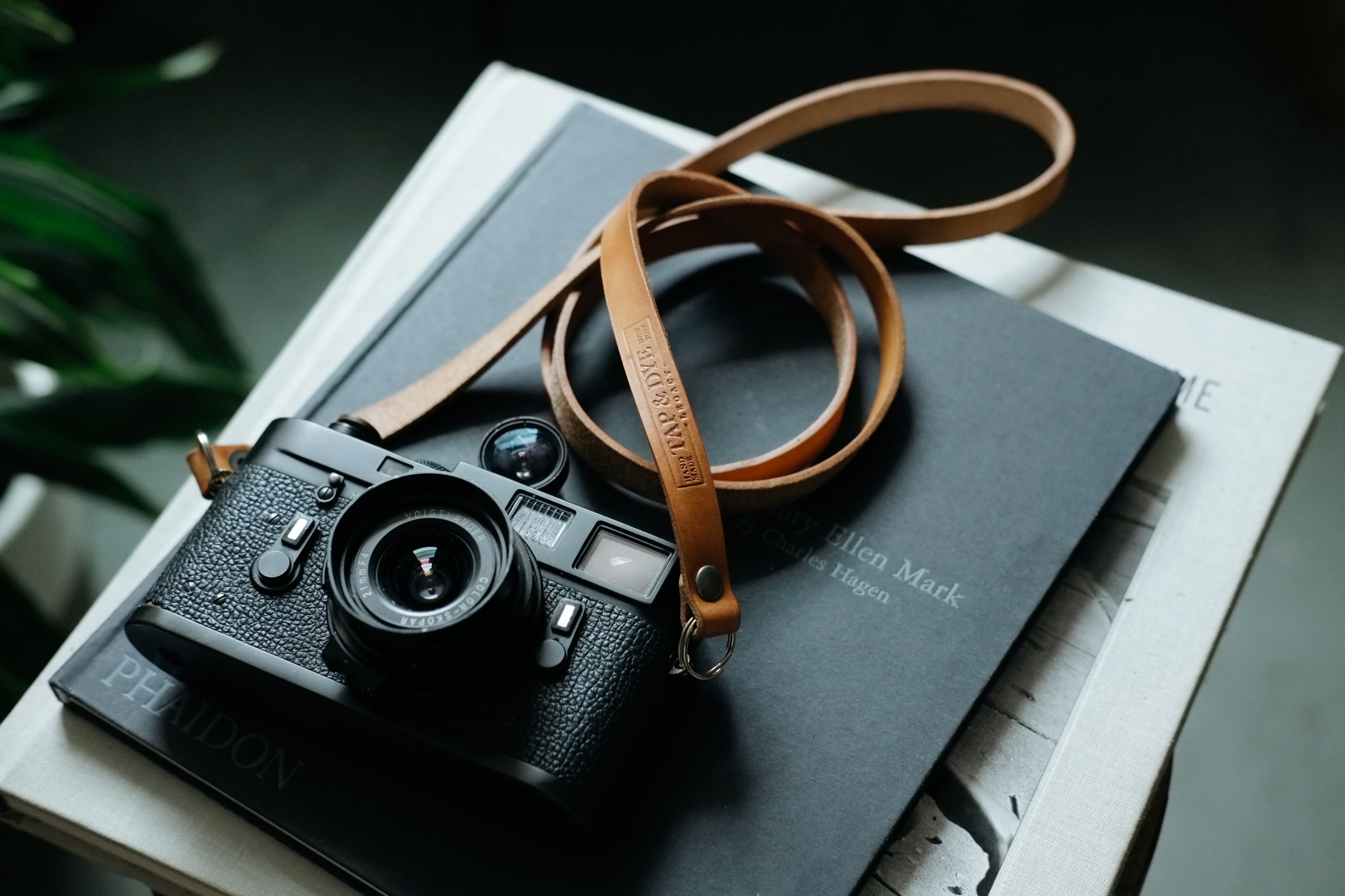 RNI-Films-IMG-D193FB2E-67E4-